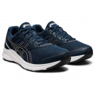 Asics Jolt 3 French Blue/Black Running Shoes Men