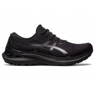 Asics Gel-Kayano 29 Wide Black/Black Running Shoes Men