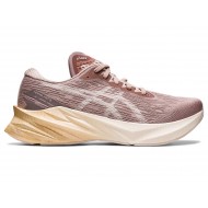 Asics Novablast 3 Fawn/Mineral Beige Running Shoes Women